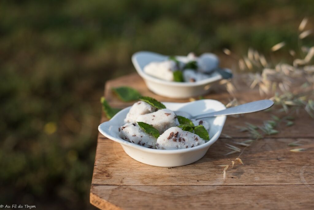 Glace menthe pépites de chocolat - Au Fil du Thym