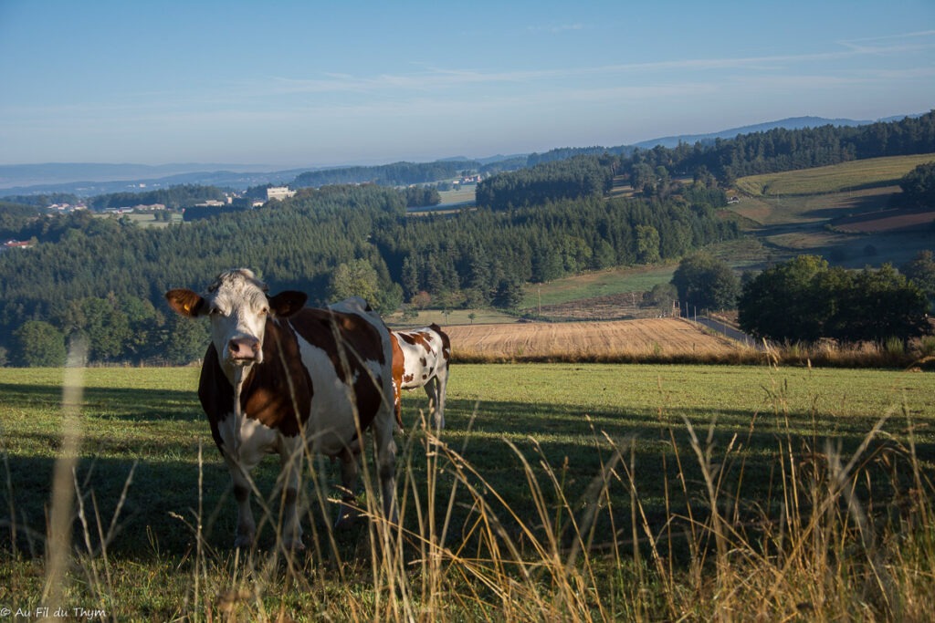 Pays des Sucs - Haute Loire 