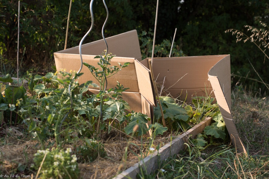 Protéger son jardin sécheresse : Système D