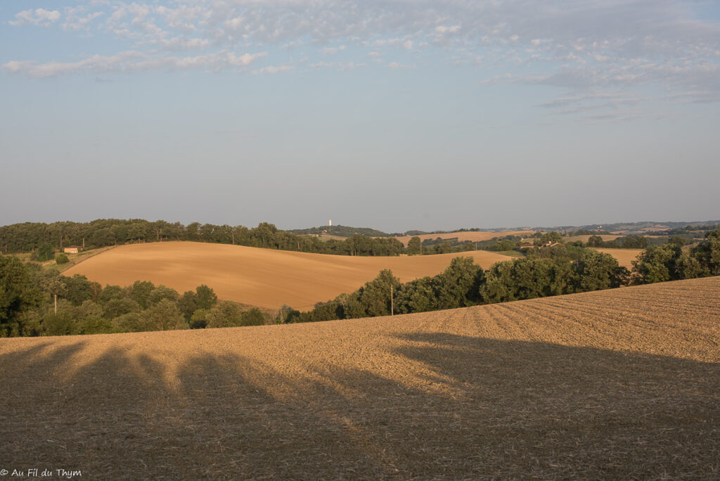 Balade champêtre d'aout - Gers