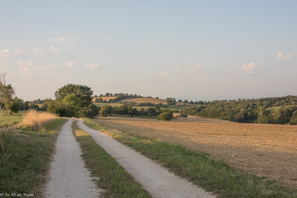 Balade champêtre d'aout - Gers