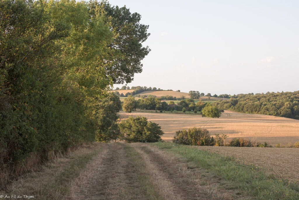 Balade champêtre d'aout - Gers