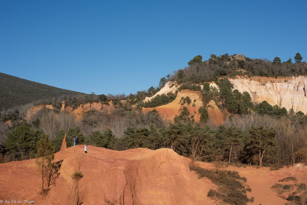 Colorado Provençal : Vue sur la végétation