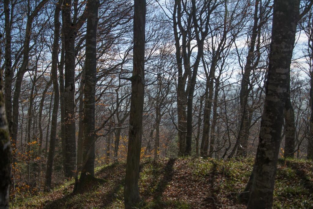 Randonnée Grand Echaillon - Vercors