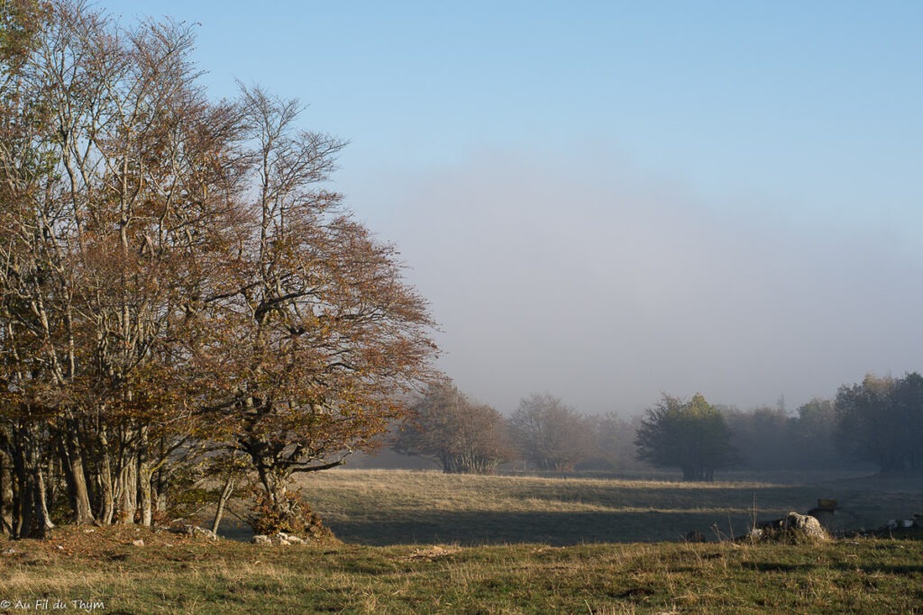 Randonnée Grand Echaillon - Vercors