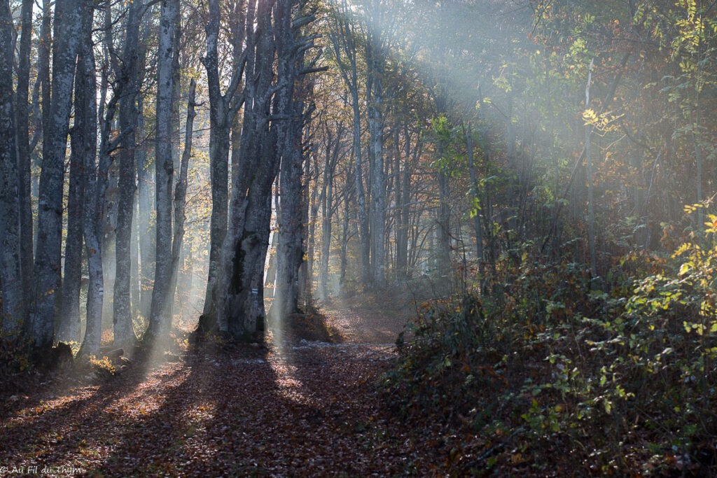 Randonnée Grand Echaillon - Vercors