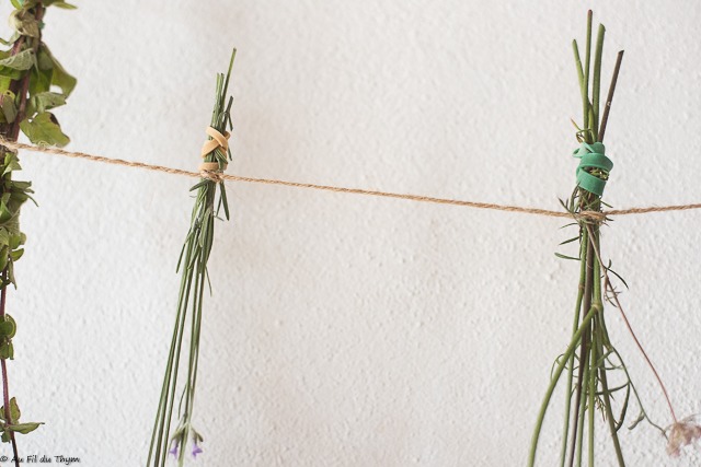 DIY : Fleurs séchées maison