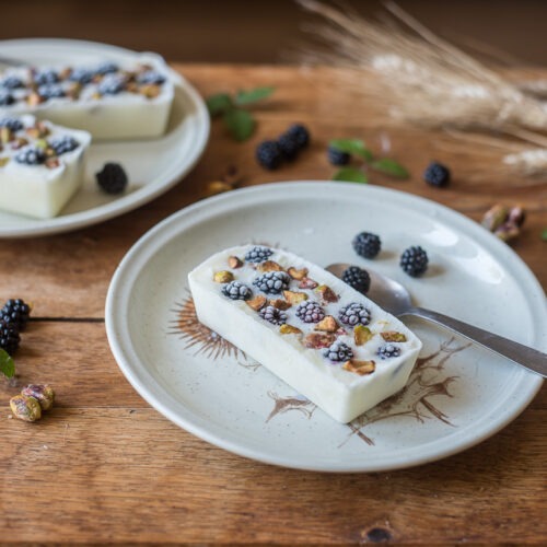 Glace au yaourt, mûres et pistaches