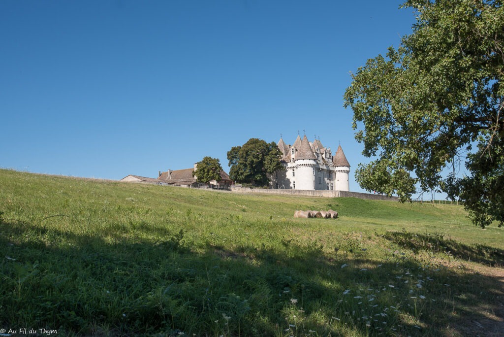 Randonnée Boucle de Monbazillac : Arrivée au château