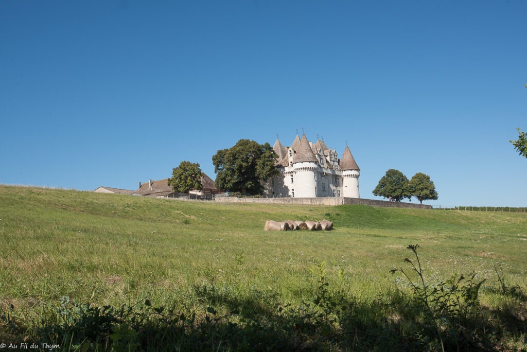 Randonnée Boucle de Monbazillac : Arrivée au château