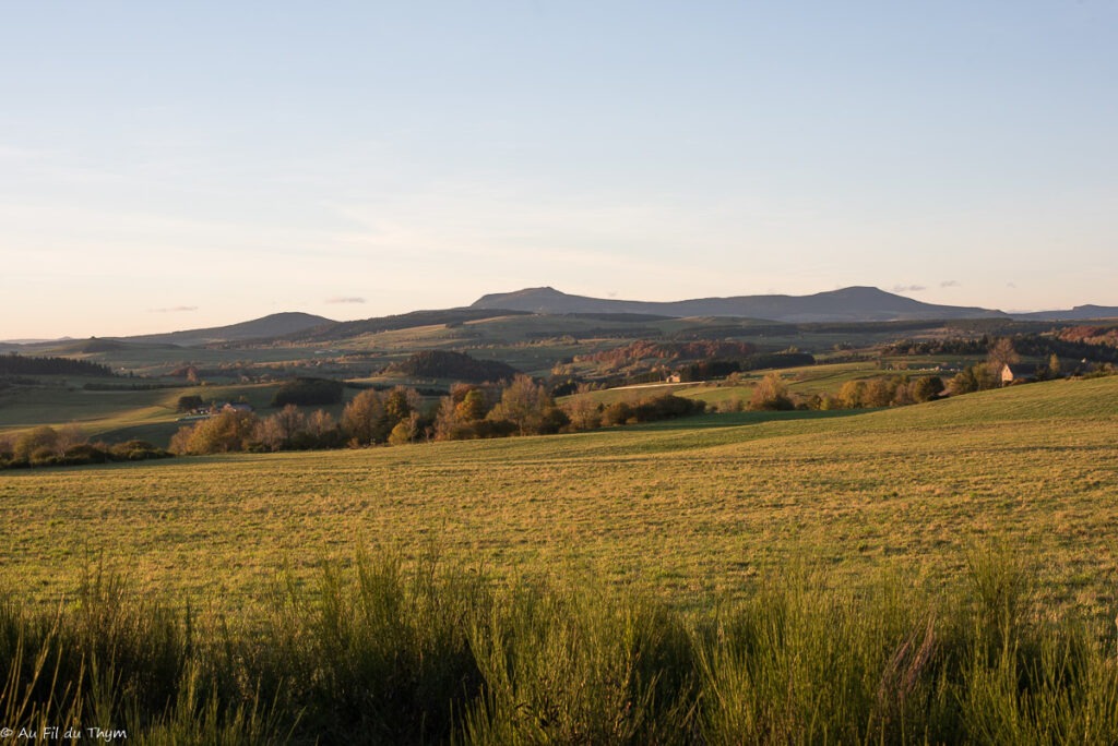 Paysage des Monts du Sud Haute Loire