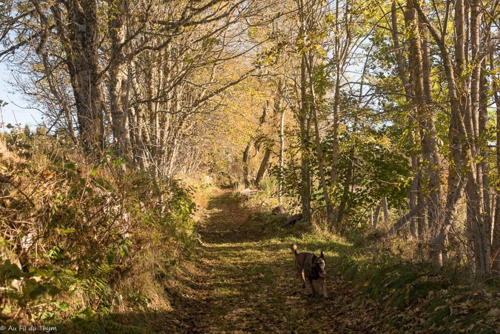 Randonnée : Le sentier de Bonas