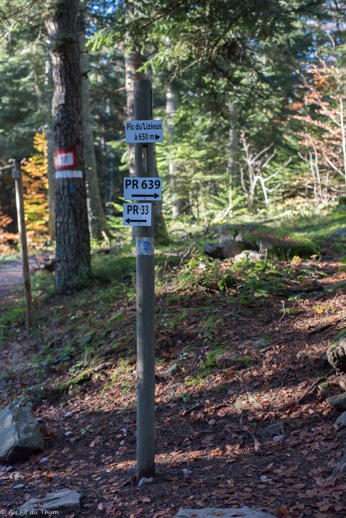 Randonnée : Le sentier de Bonas