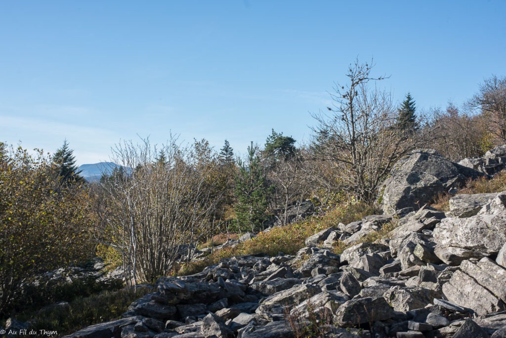 Randonnée : Le sentier de Bonas