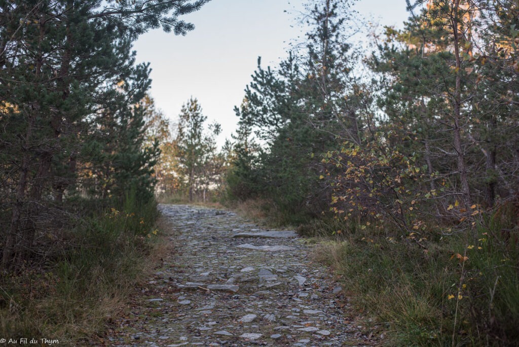 Randonnée : Le sentier de Bonas