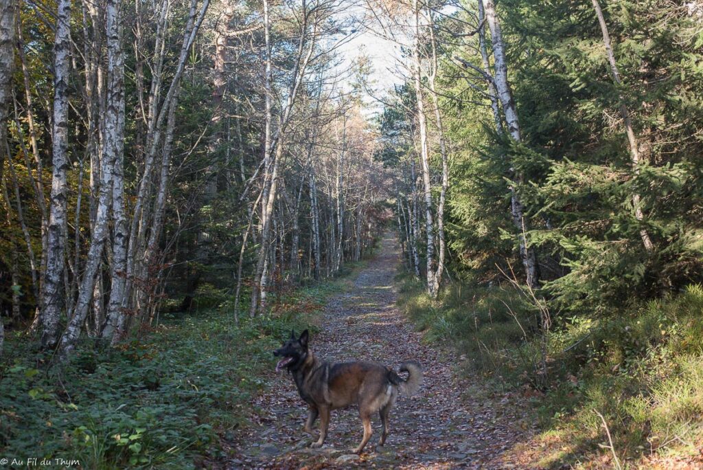 Randonnée : Le sentier de Bonas