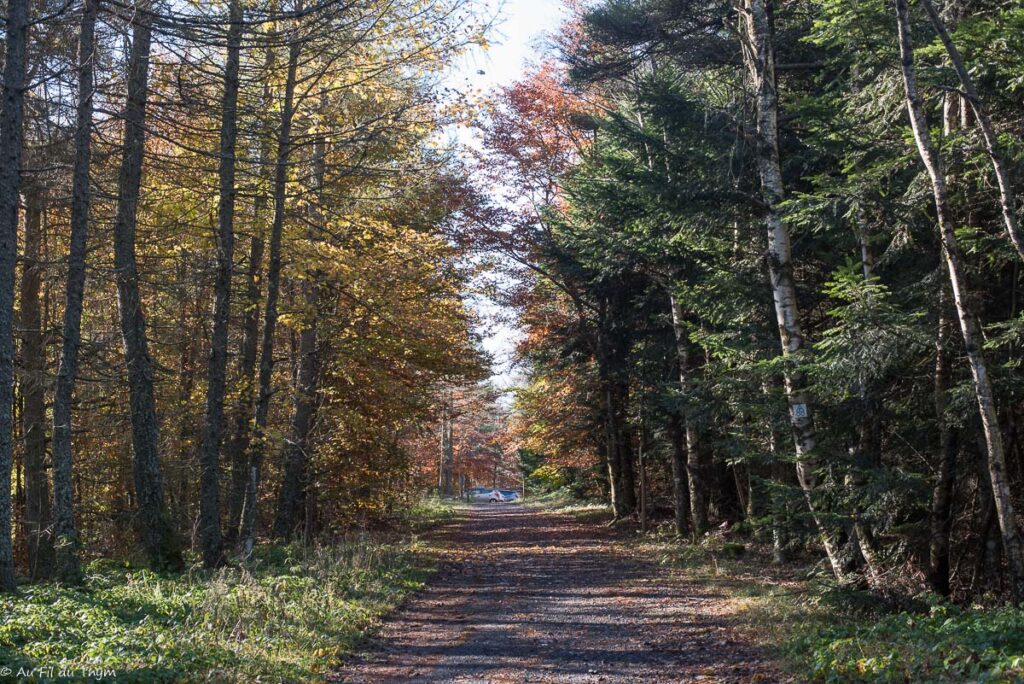 Randonnée : Le sentier de Bonas