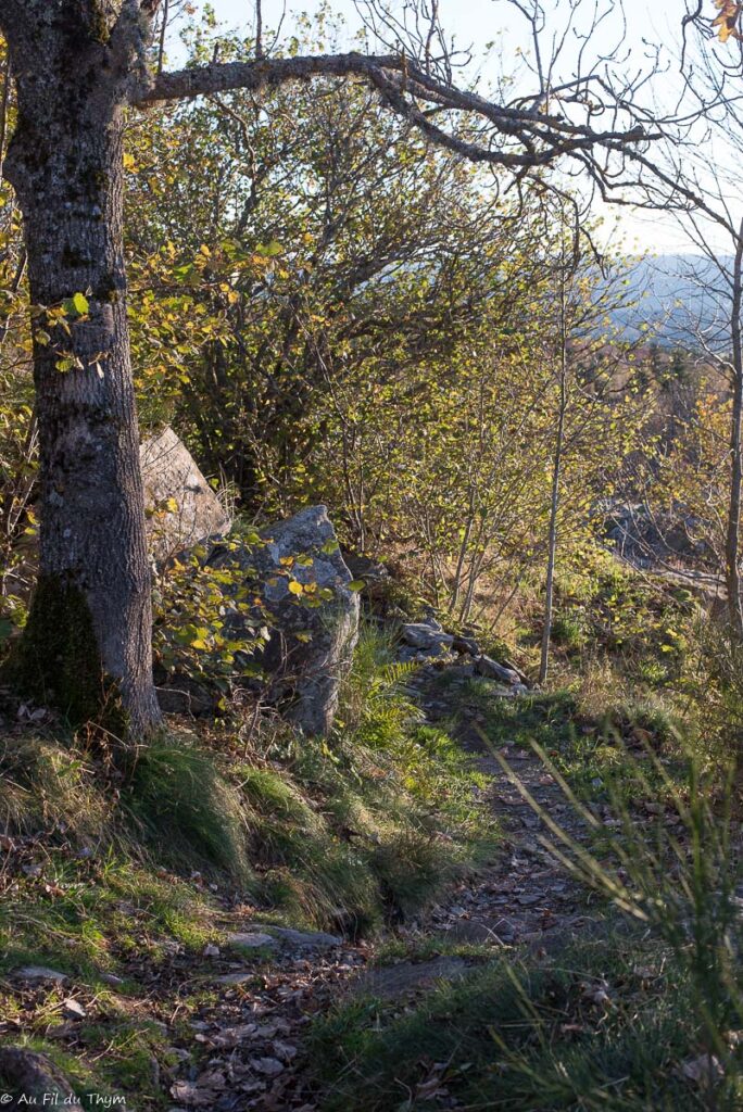 Randonnée : Le sentier de Bonas