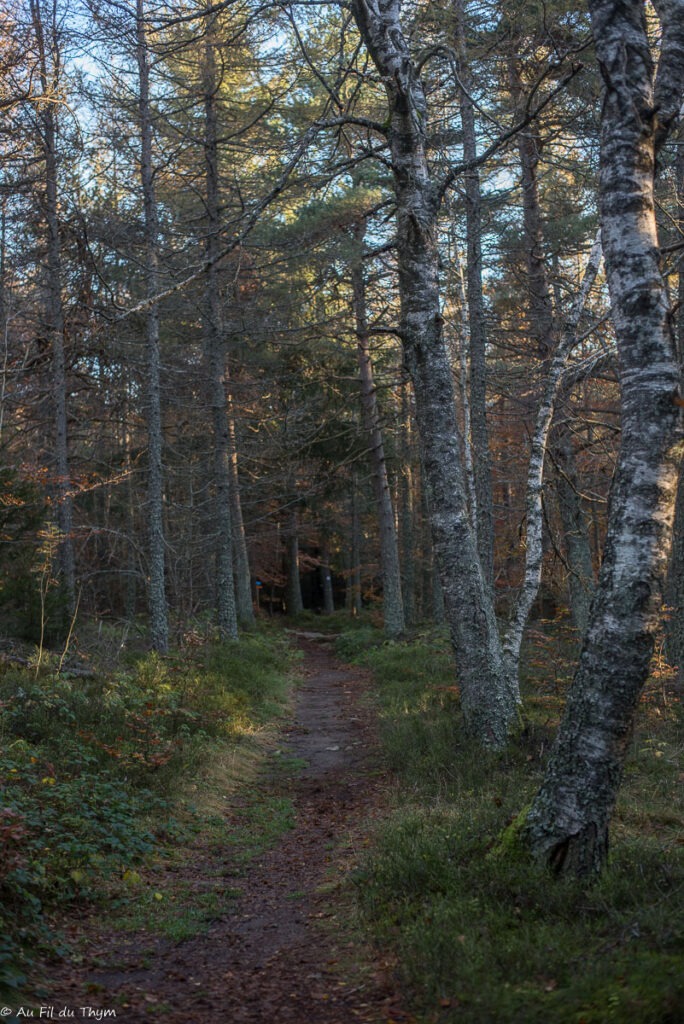 Randonnée : Le sentier de Bonas