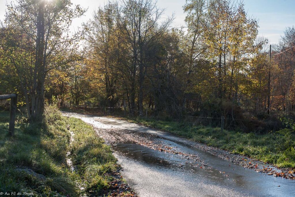 Randonnée : Le sentier de Bonas