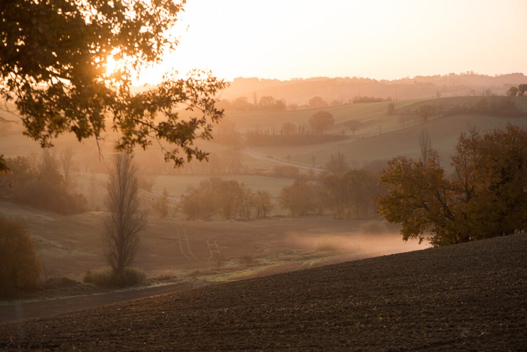 Heures dorées - Le Gers en début décembre