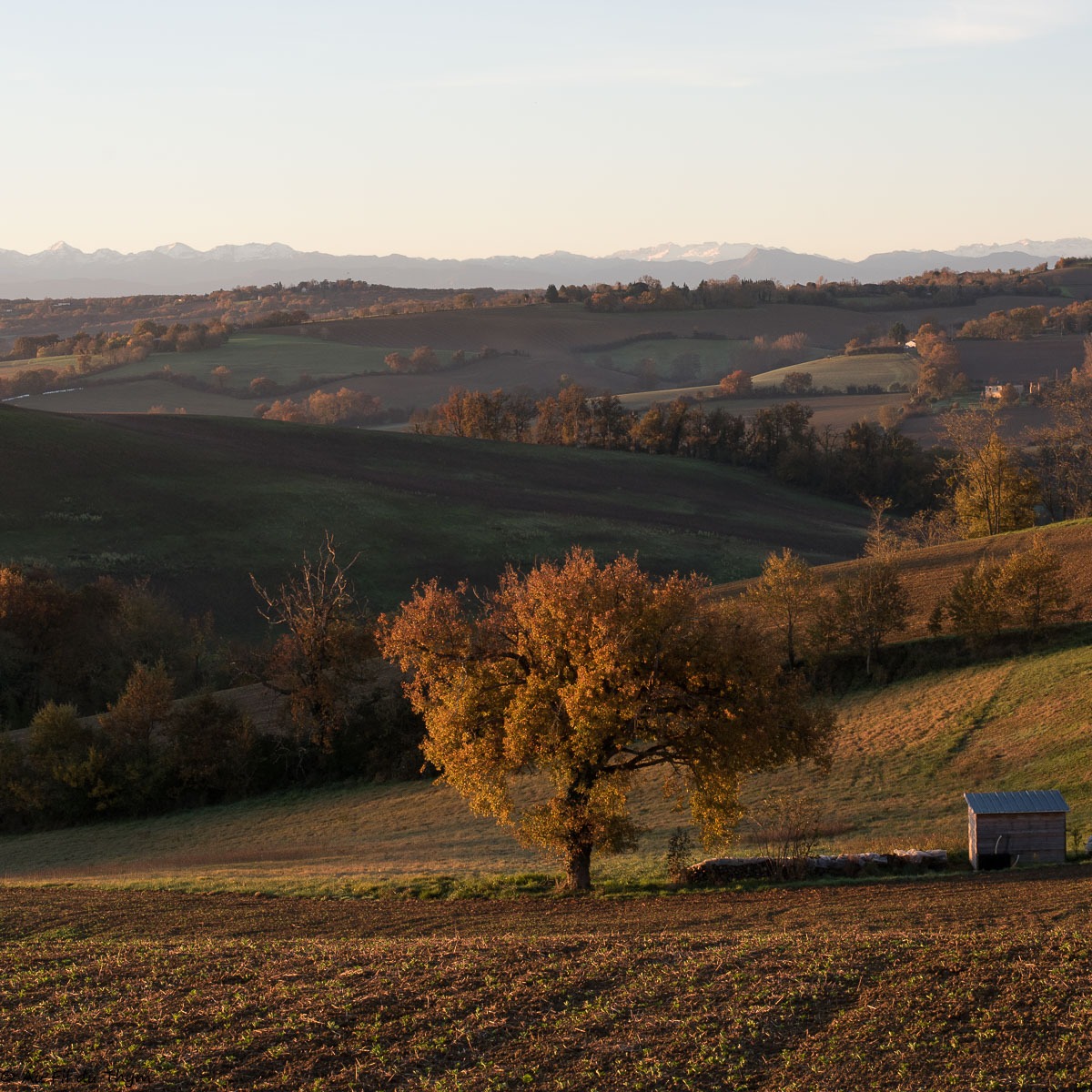 Heures dorées - Le Gers en début décembre