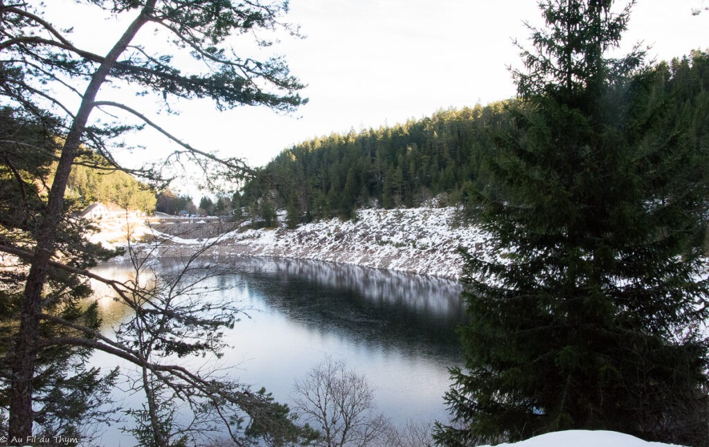 Balade dans les Vosges sous la neige - Lac Noir