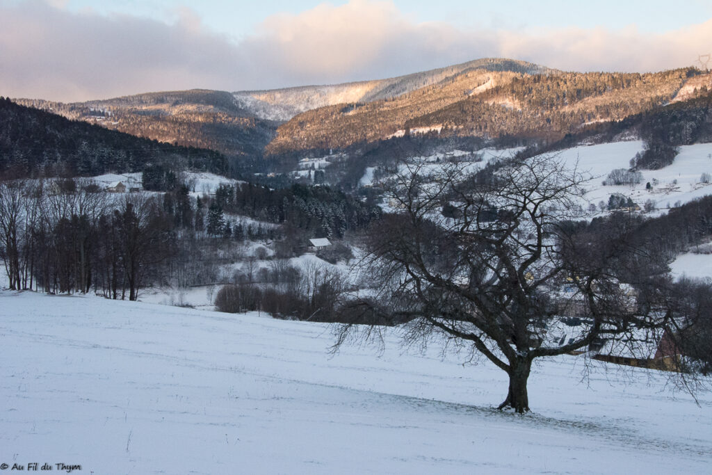 Balade dans les vosges sous la neige (Orbey)