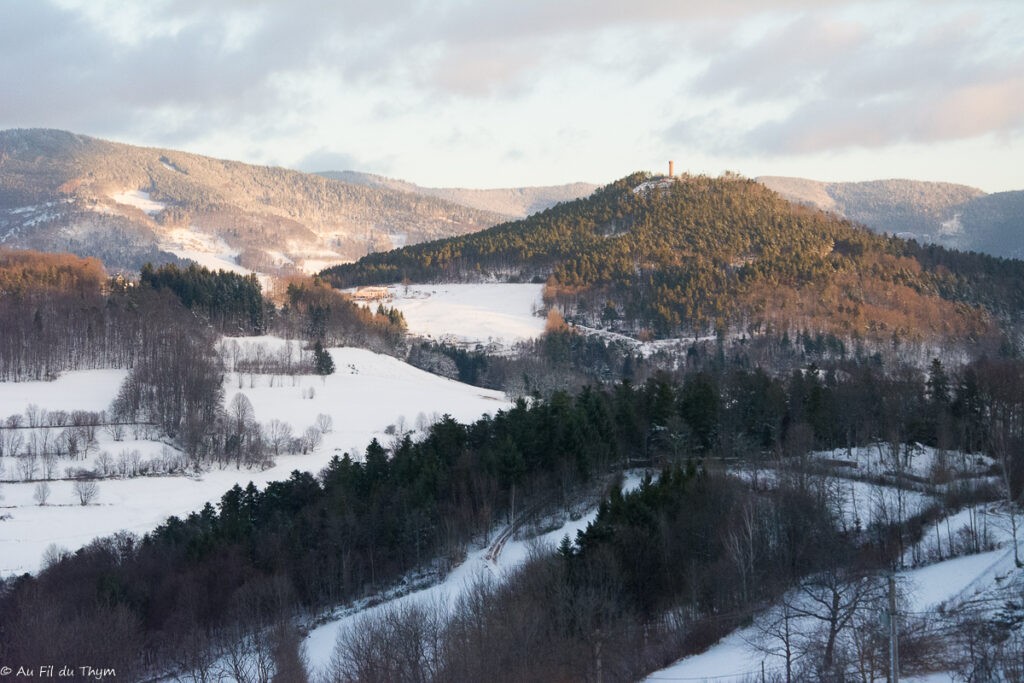 Balade dans les vosges sous la neige (Orbey)