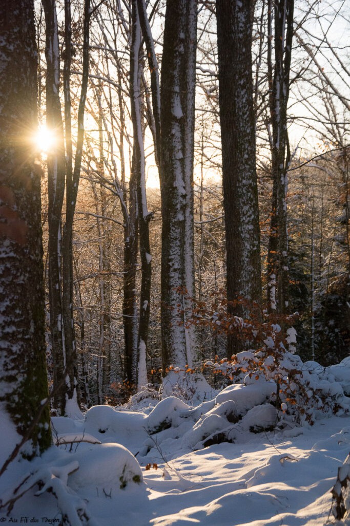 Balade dans les vosges sous la neige (Orbey)