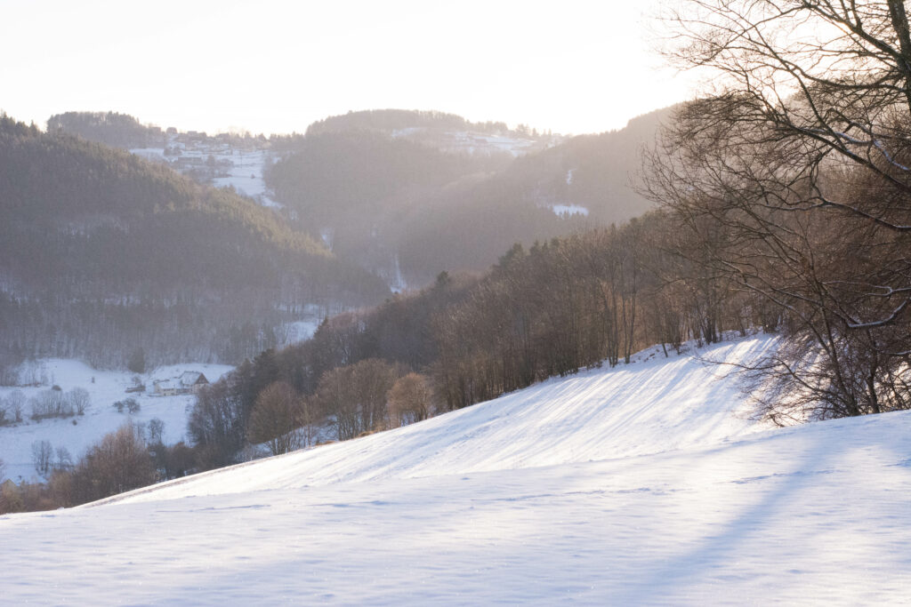 Balade dans les vosges sous la neige (Orbey)