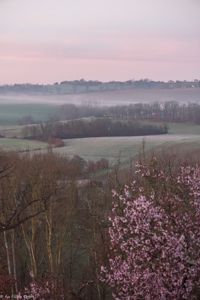 Premiers signes du printemps dans le Gers