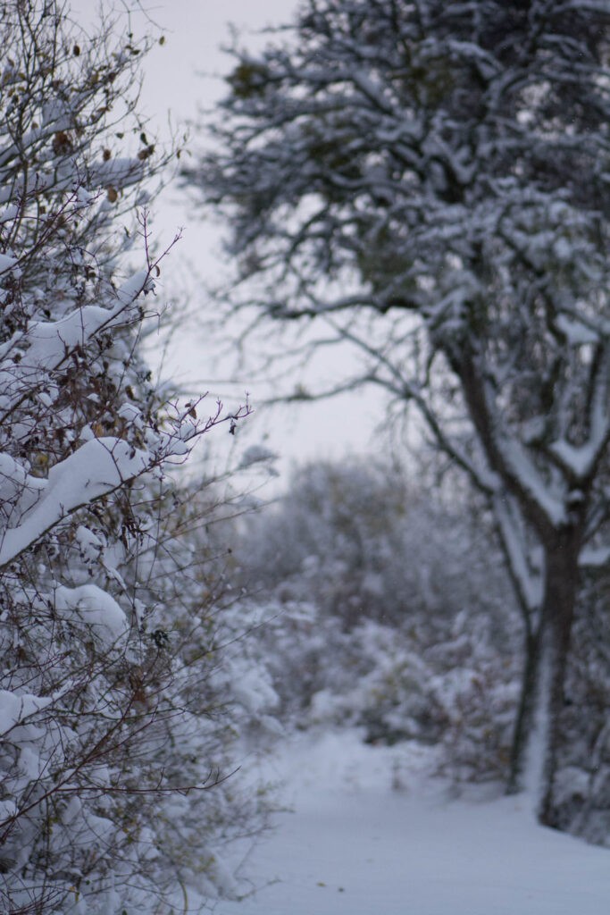 Première neige 2017 - Vercors