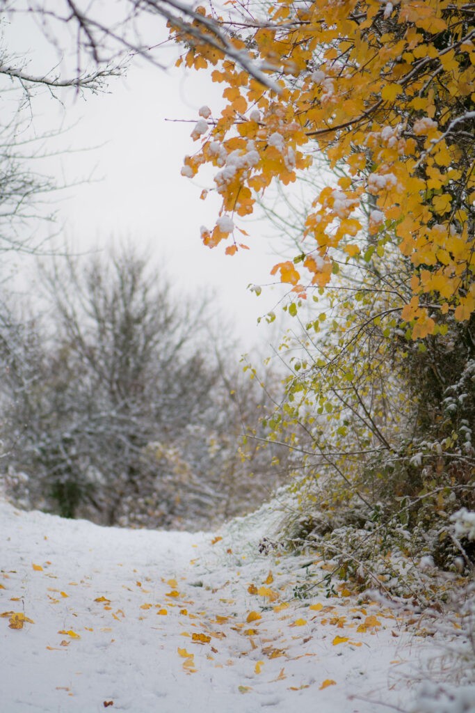 Première neige 2017 - Vercors