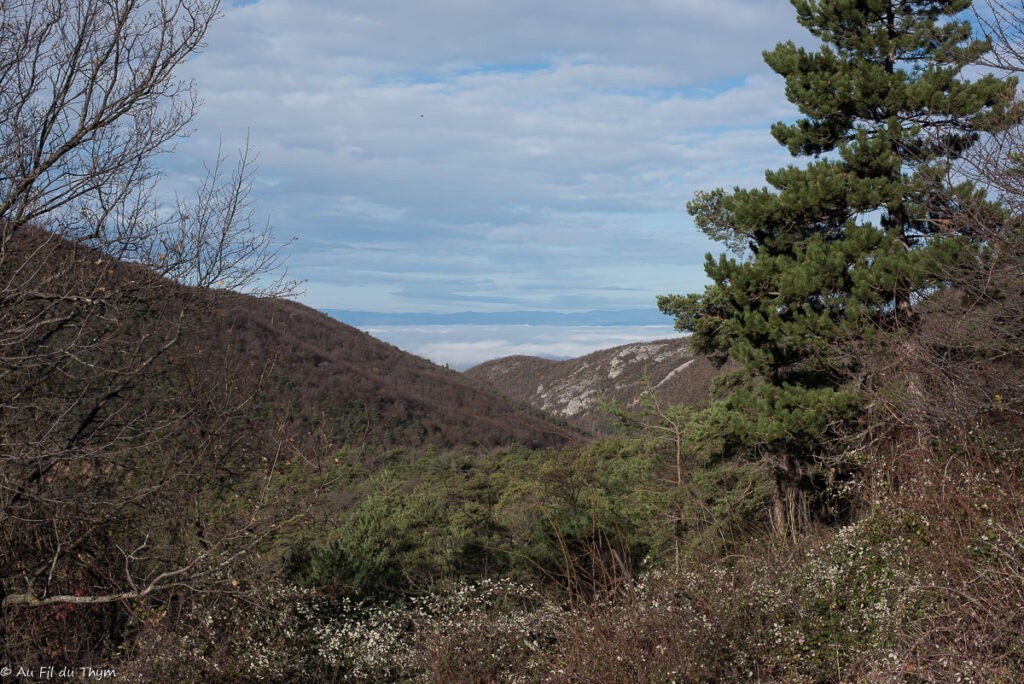 Randonnée d'hiver dans le Vercors