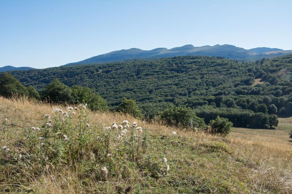 Vue sur le Grand Veymont