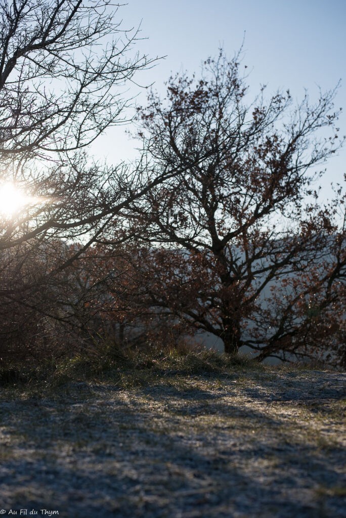 Balade d'hiver dans le Vercors