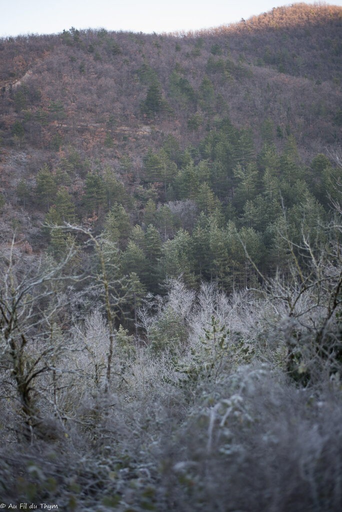 Balade d'hiver dans le Vercors