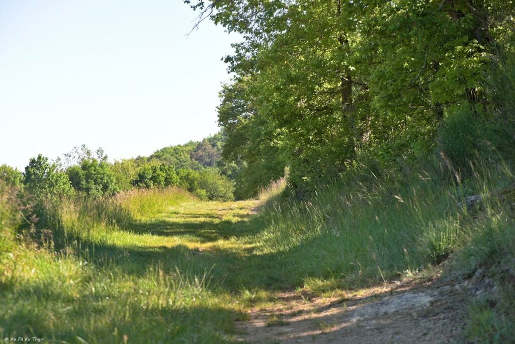 Chemin des orchidées, Simorre