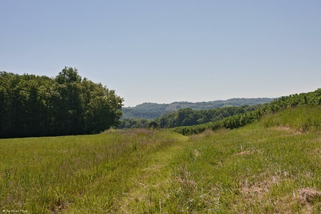 Chemin des orchidées, Simorre