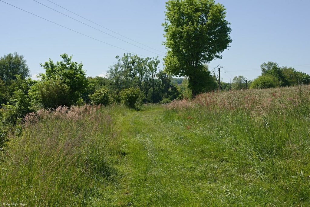 Chemin des orchidées, Simorre