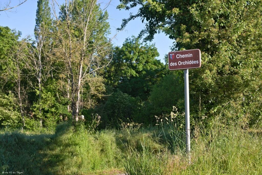 Chemin des orchidées, Simorre