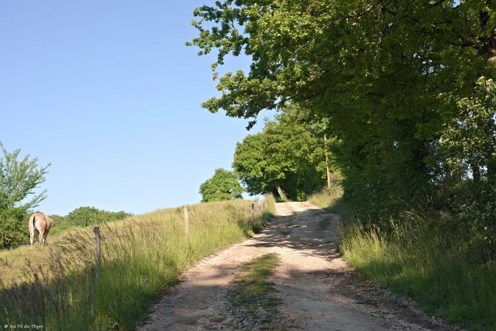 Chemin des orchidées, Simorre