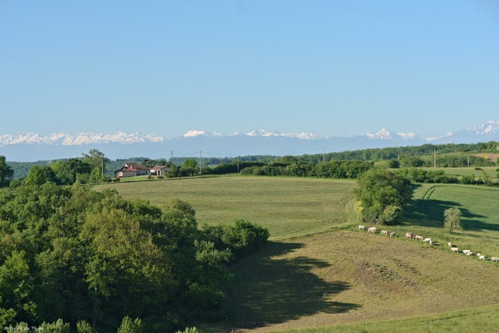 Chemin des orchidées, Simorre