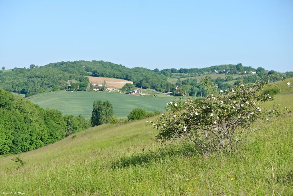 Chemin des orchidées, Simorre