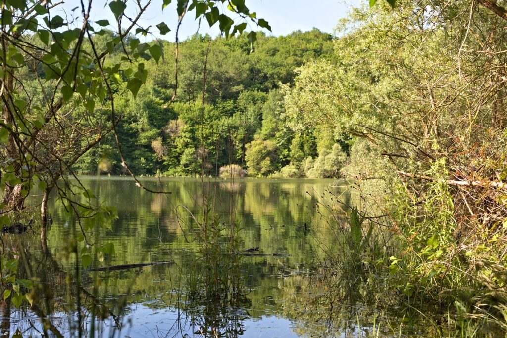 Randonnée Lac de Savères - Entre Lautignac et Savères