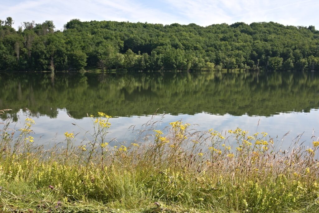 Randonnée Lac de Savères - Entre Lautignac et Savères