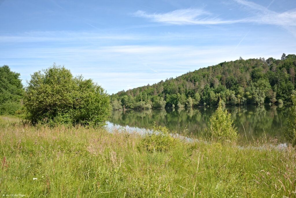 Randonnée Lac de Savères - Entre Lautignac et Savères