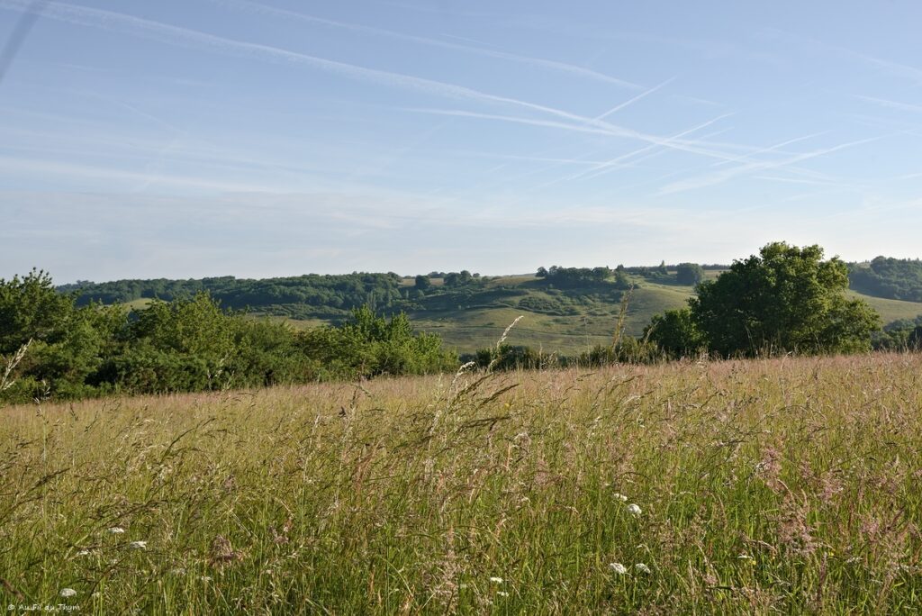 Randonnée Lac de Savères - Entre Lautignac et Savères