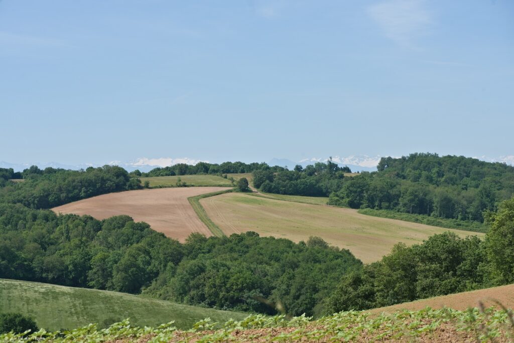 Randonnée Lac de Savères - Entre Lautignac et Savères